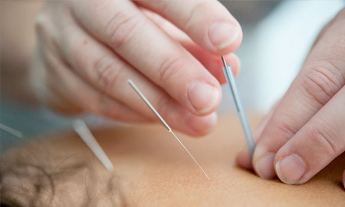 Our Services
